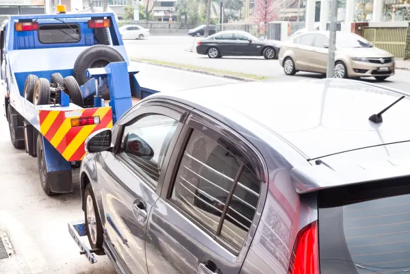 voor professioneel transport